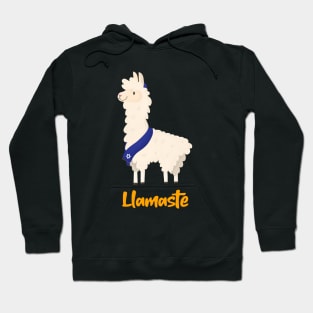 Llamaste Hoodie